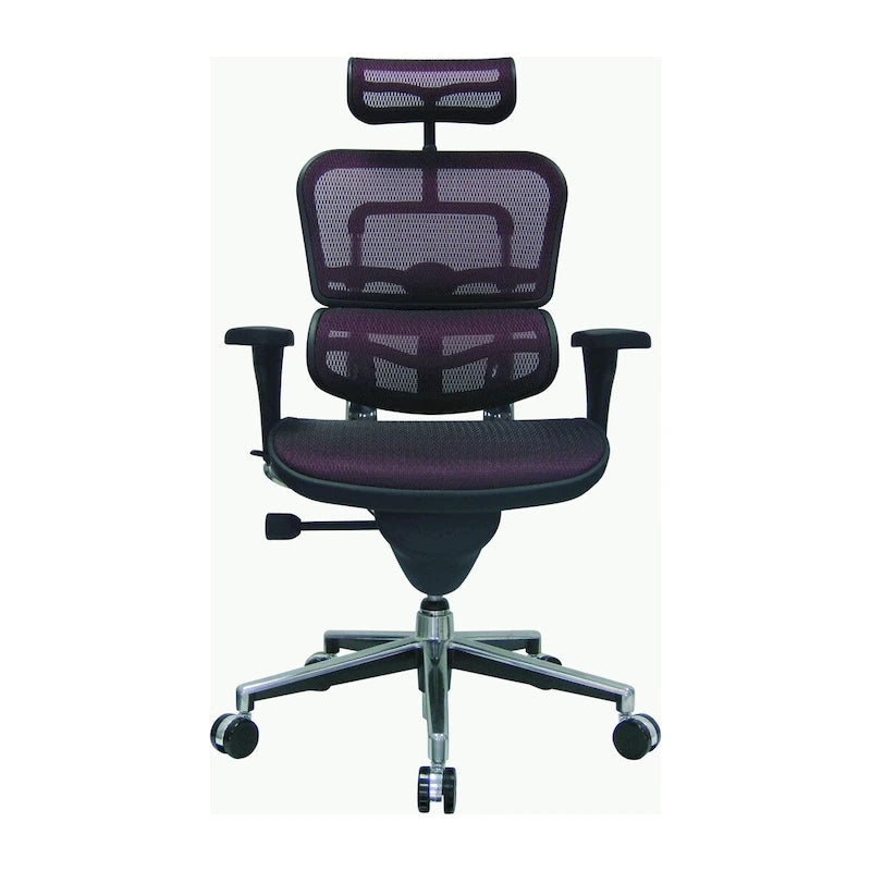 Adjustable Mesh Ergonomic Office Chair with Headrest