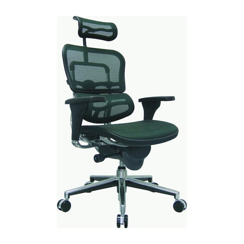 Adjustable Mesh Ergonomic Office Chair with Headrest